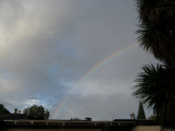 2008-11-02