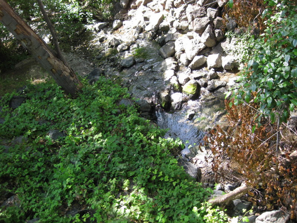 2010-06-10