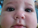 adele6to8m-04