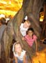 atl2006-68