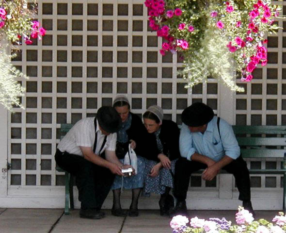 Photograph