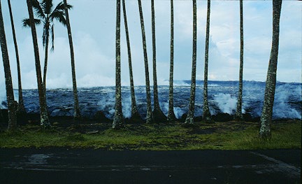 kaimu bay