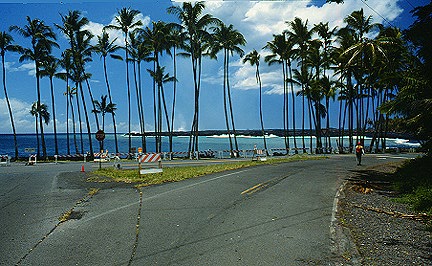 kaimu bay