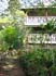 bigisland-030