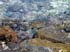 bigisland-037