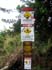 bigisland-047