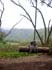 bigisland-060