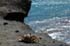 bigisland-071