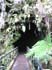 bigisland-075