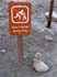 bigisland-081