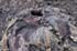 bigisland-098