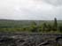 bigisland-103