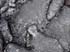 bigisland-111