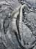 bigisland-112