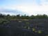 bigisland-118