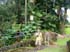 bigisland-150