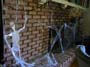 halloween07-32