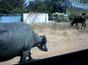 india-010