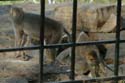 india-032