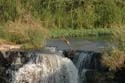 india-039
