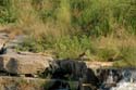 india-040