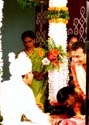 india-174
