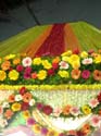 india-199