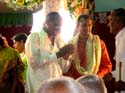 india-227