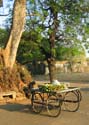 india-322