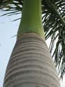 india-368