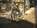 india-401
