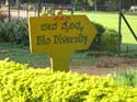 india-409