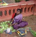 india-423