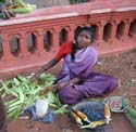 india-424