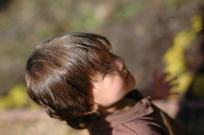 Lucas16to21-155