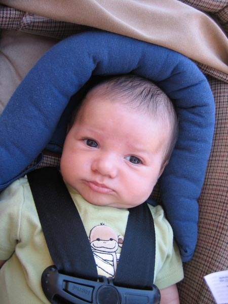 week5to11-36
