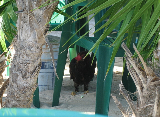 mexico085