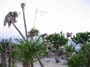 mexico098