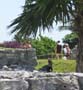 mexico235
