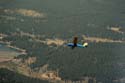 glider-16
