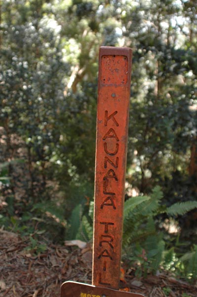 oahu_0371