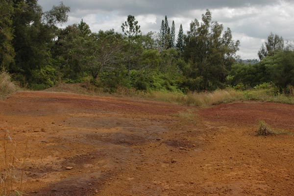 oahu_0377