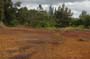 oahu_0377