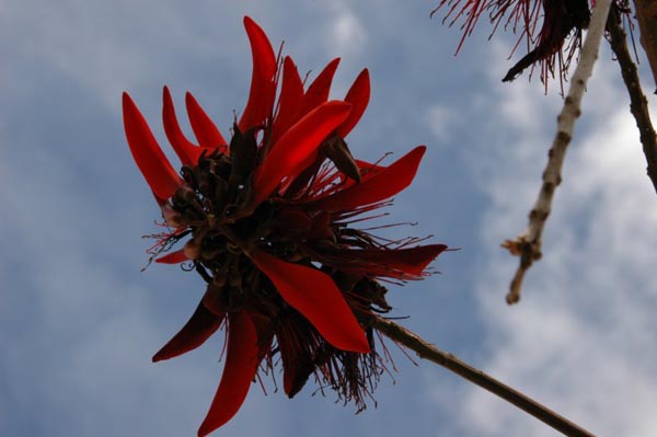 photo03