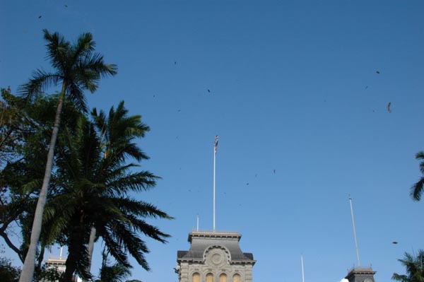 photo19