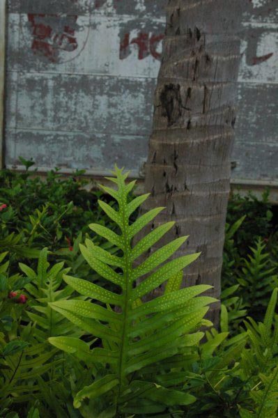 photo14