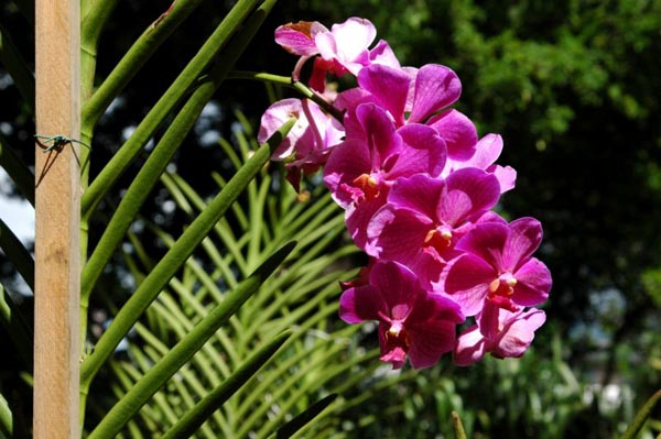 photo20