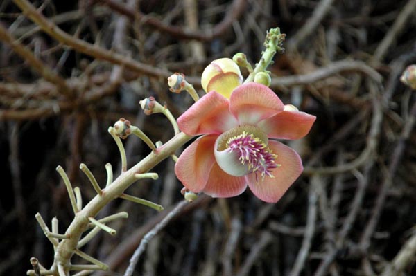 photo28