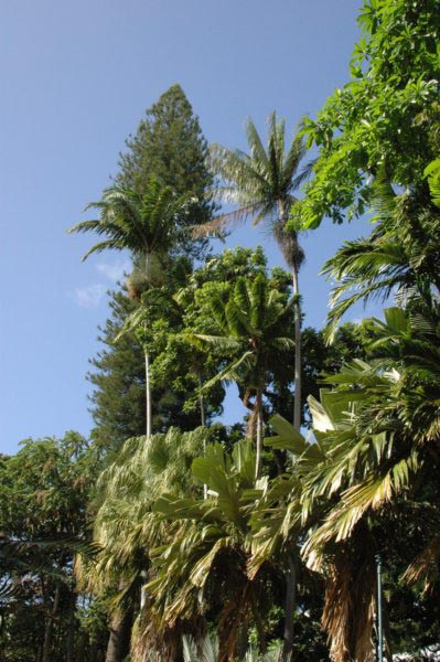 photo37