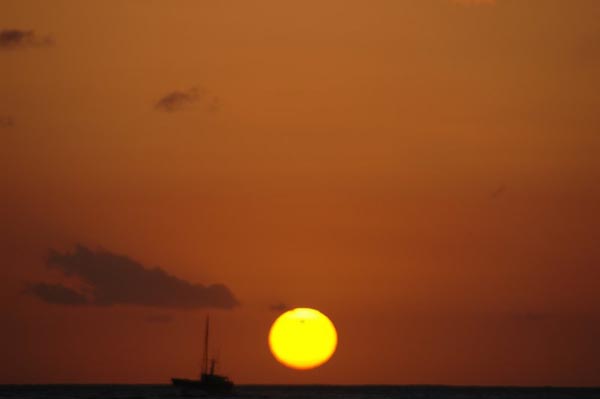 photo44